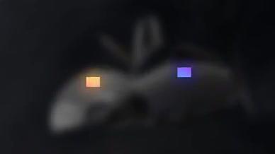创意霓虹方块演绎文字标题动画AE模板视频的预览图
